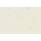 Spectra - 40mm Andromeda White Curved Edge