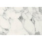 Spectra - 40mm Carrera Marble Curved Edge